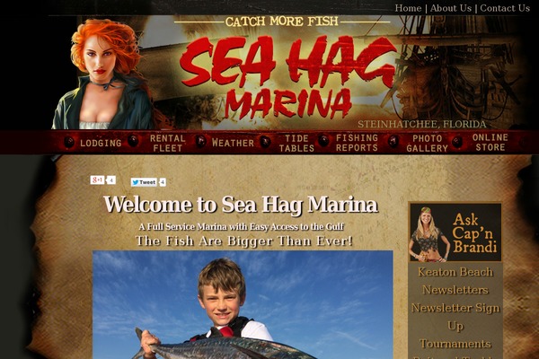 seahag.com site used Seahag
