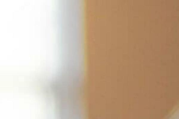 seahorsetours.com site used Twenty Seventeen