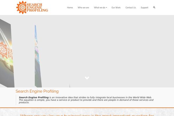 Pinnacle Premium theme site design template sample