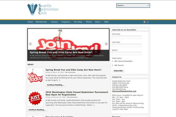 WordPress website example screenshot