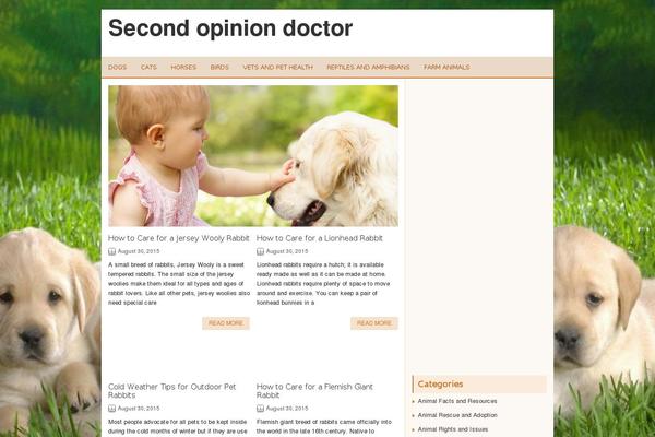 second-opinion-doc.com site used Web-blog