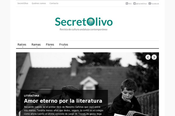 secretolivo.com site used Flex Mag