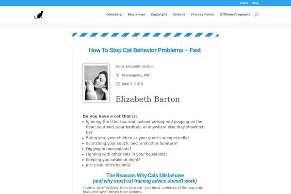 Divi theme site design template sample