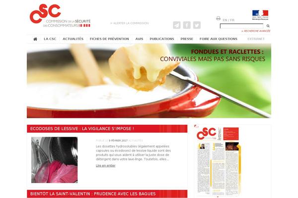 csc theme websites examples