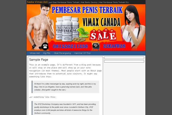 IndoStore theme site design template sample