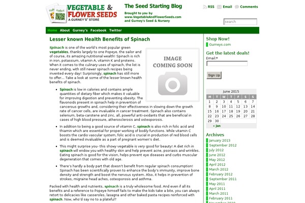 Atahualpa theme site design template sample