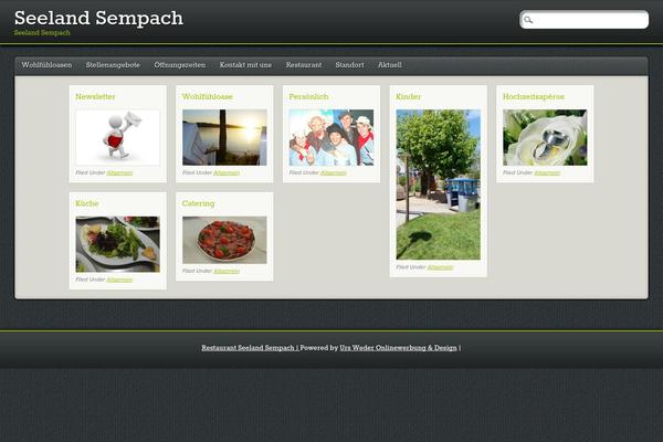 PinBlack theme site design template sample