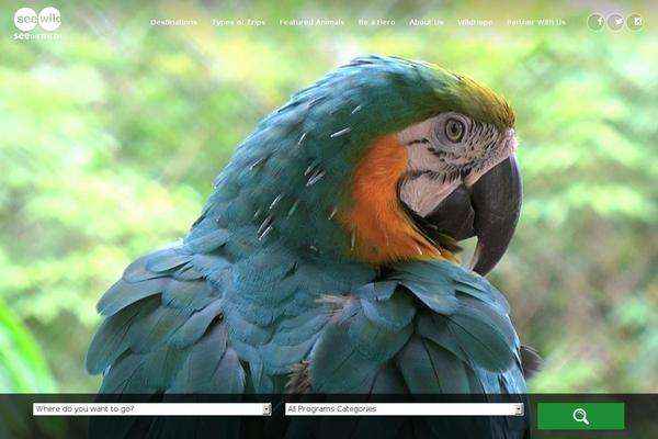 Site using Ele-custom-skin plugin