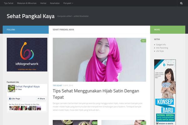 Hueman theme site design template sample