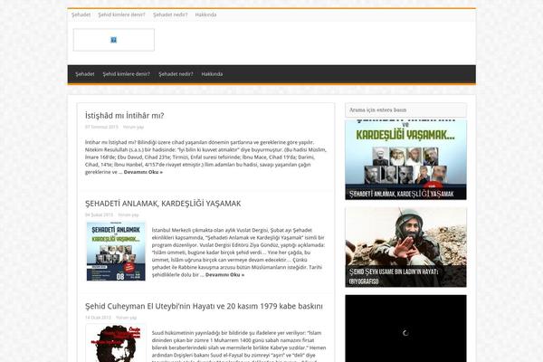 Sahifa theme site design template sample