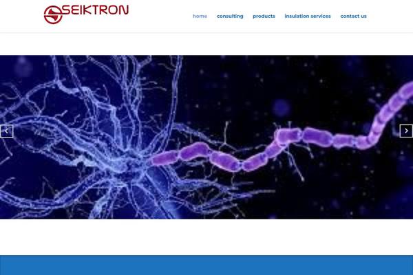 seiktron.net site used Consulting
