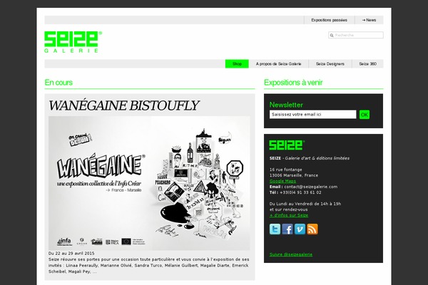 Monochrome-pro theme site design template sample