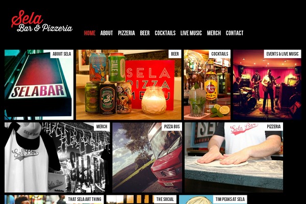 selabar.com site used Selbarv1.0