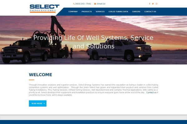 selectesi.com site used Selectesi