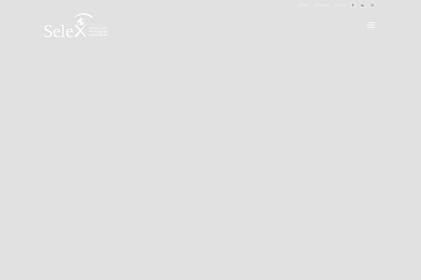 selexidiomas.com site used Selex