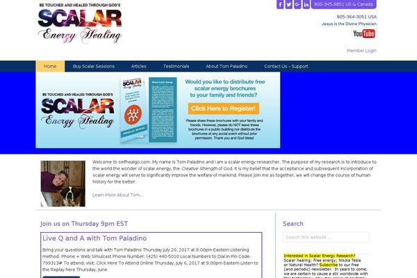 bradley theme websites examples