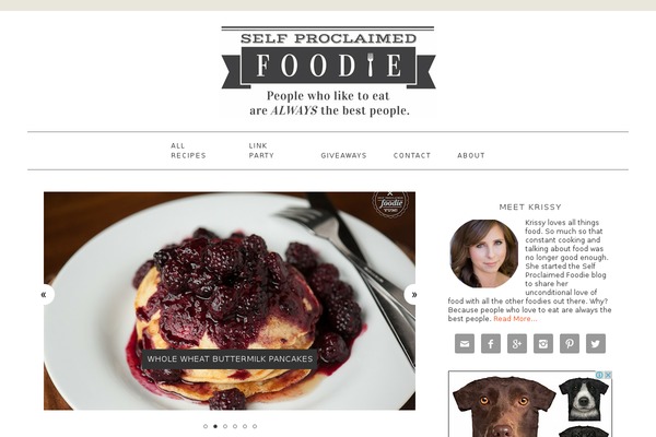 WordPress website example screenshot
