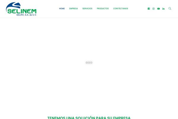 selinem.com.mx site used Zaser-progression