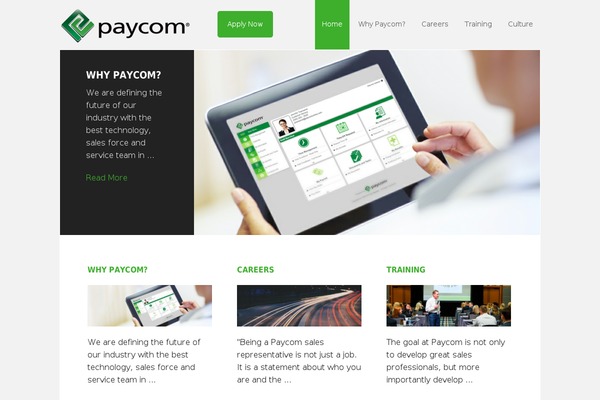 sellforpaycom.com site used Romix