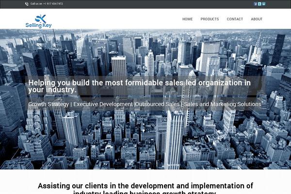 Businessgrowtheme theme site design template sample