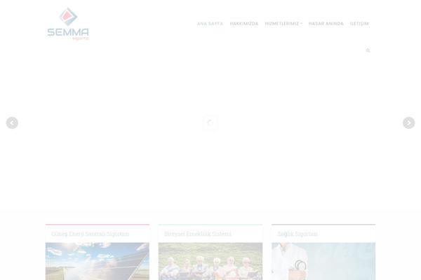 Success theme site design template sample