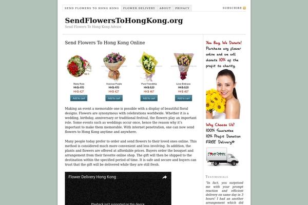 WordPress website example screenshot