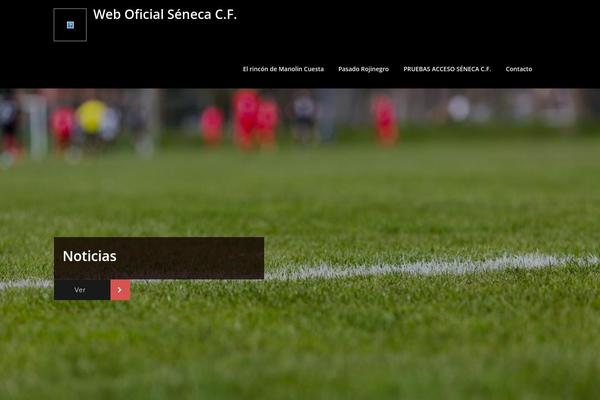 Site using Soccer-action plugin