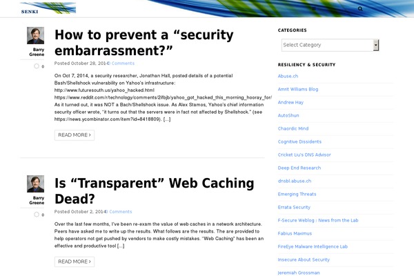 WordPress website example screenshot