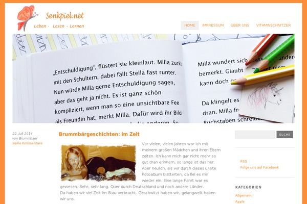 WordPress website example screenshot