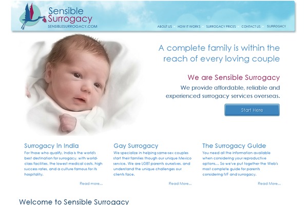sensiblesurrogacy.com site used Surrogacy-theme