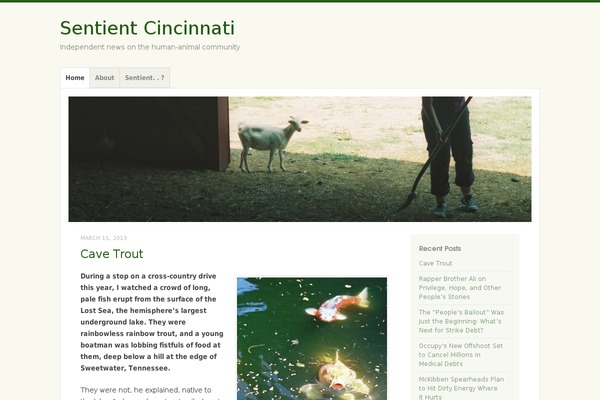 WordPress website example screenshot