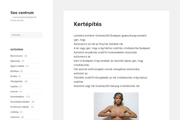 Twenty Sixteen theme site design template sample