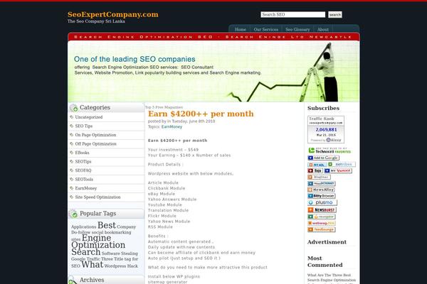 seoexpertcompany.com site used Seo-biz