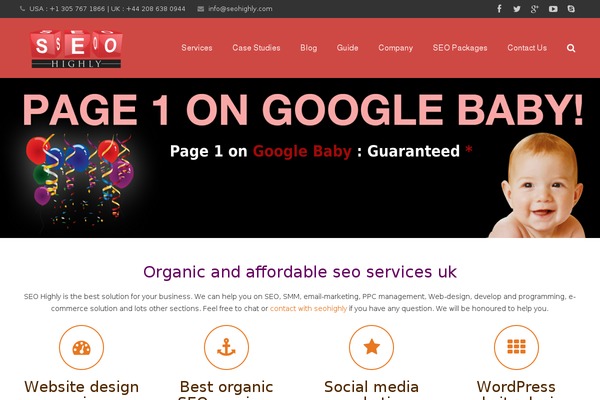 WordPress website example screenshot