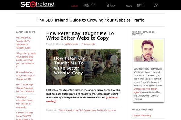 SEOIreland WordPress theme, websites list used SEOIreland theme SEOIreland theme websites examples