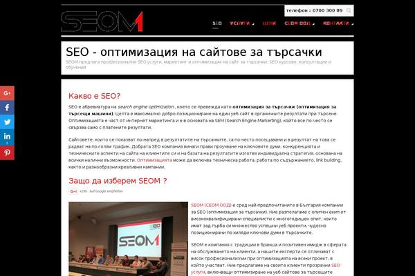 Terso website example screenshot