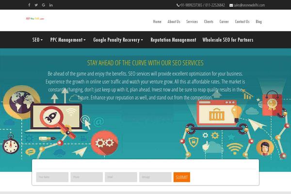 seonewdelhi.com site used Seonewdelhi