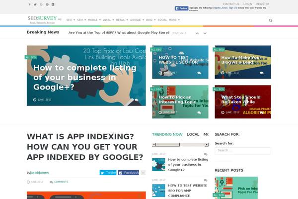 seosurvey.org site used Seo-survey