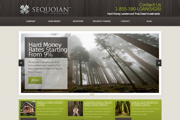 WordPress website example screenshot