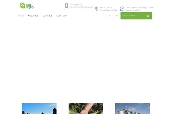 Bridge theme site design template sample