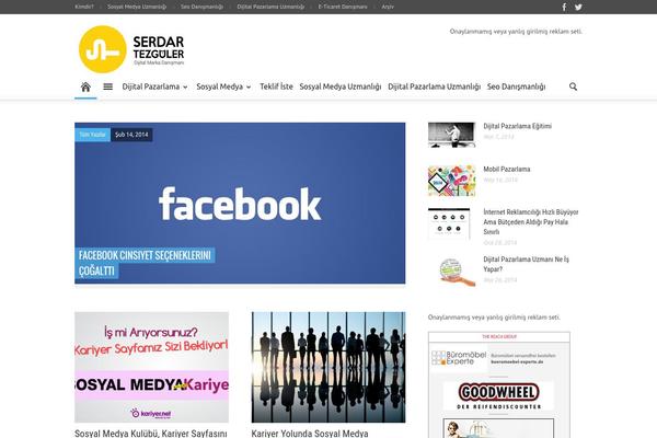 Newspaper theme site design template sample