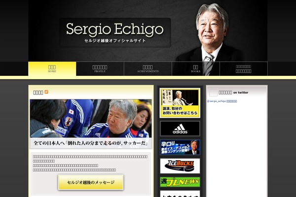 sergio theme websites examples
