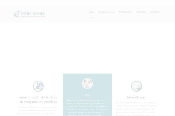 Bauer theme site design template sample