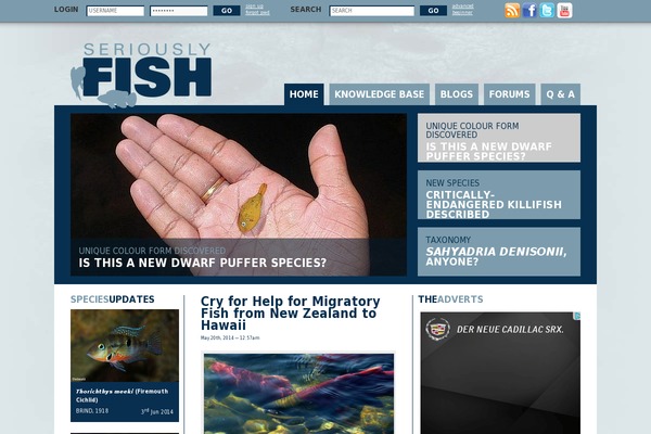 seriouslyfish.com site used Seriouslyfish