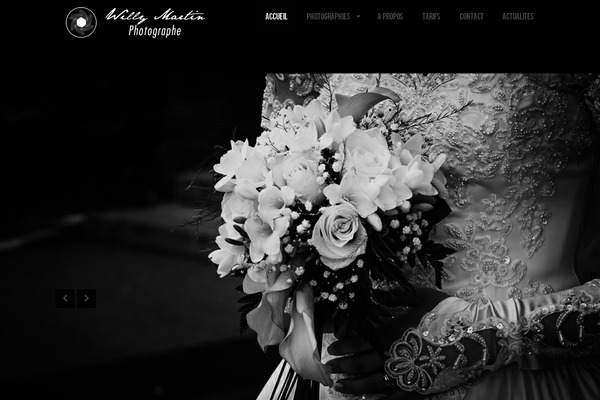 Lensa theme site design template sample