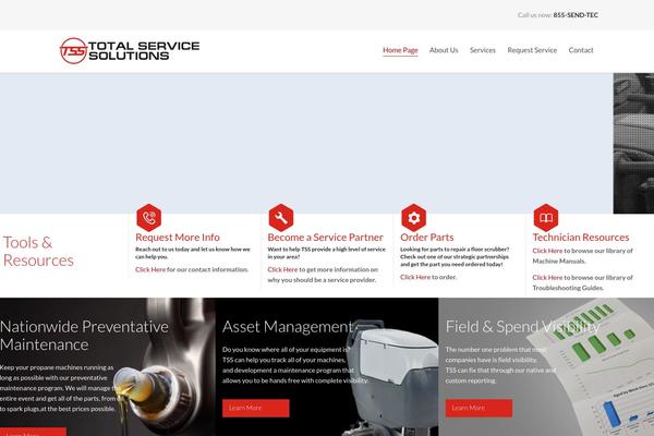 servsolutions.net site used Auto-theme