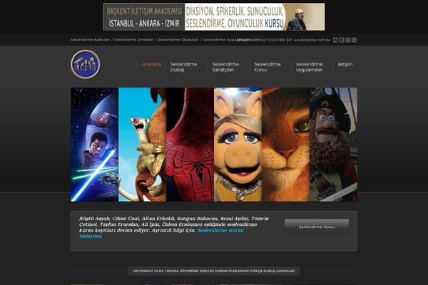 Site using Flash Video Player plugin