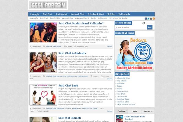 sesliadresim.com site used Wplogv5_tema