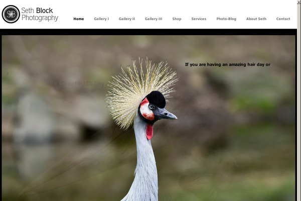 Mercury theme site design template sample