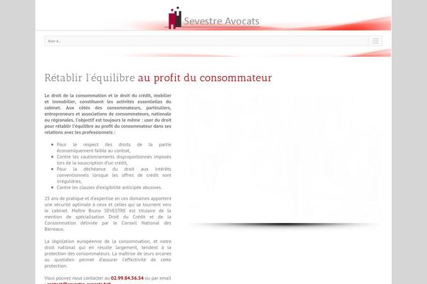 Avada theme site design template sample